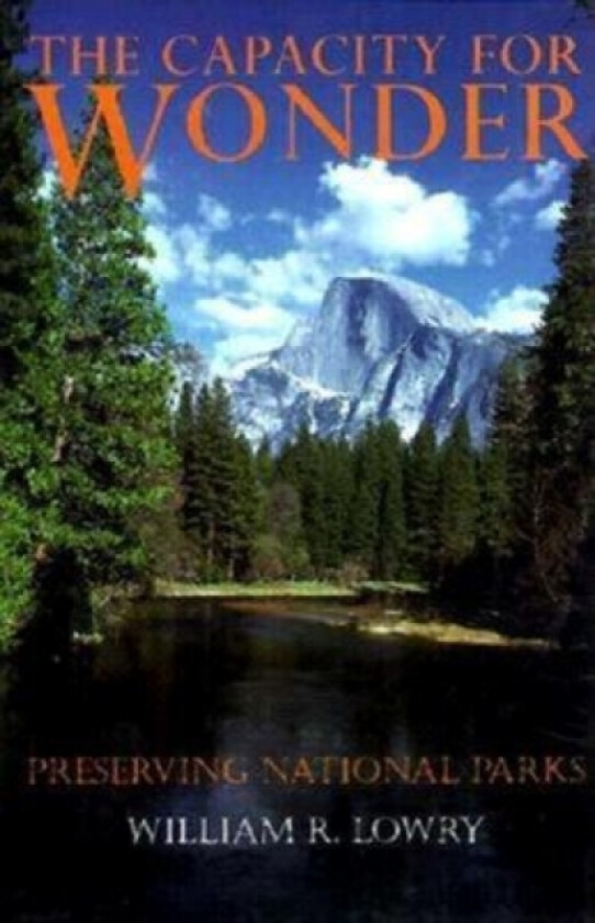 The Capacity for Wonder av William Lowry (Hardcover)