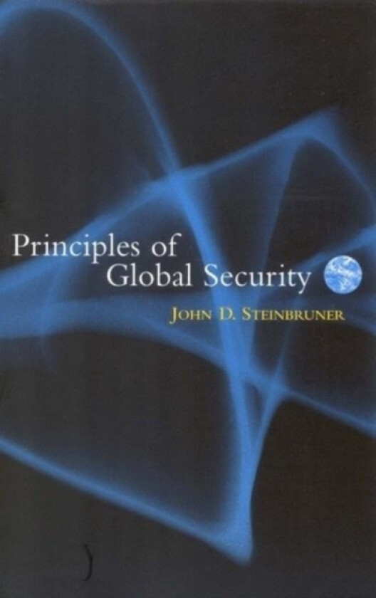 Principles of Global Security av John D. Steinbruner (Paperback)