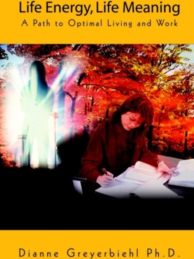 Life Energy, Life Meaning av Dianne Greyerbiehl PH. D. (Paperback)