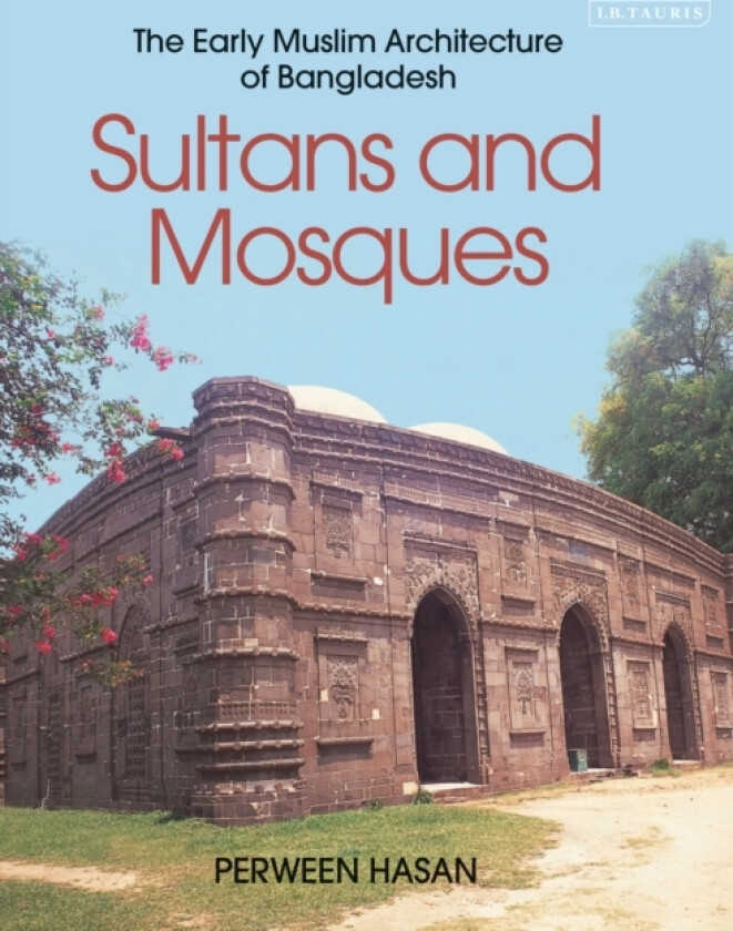 Sultans and Mosques av Perween Hasan (Paperback)