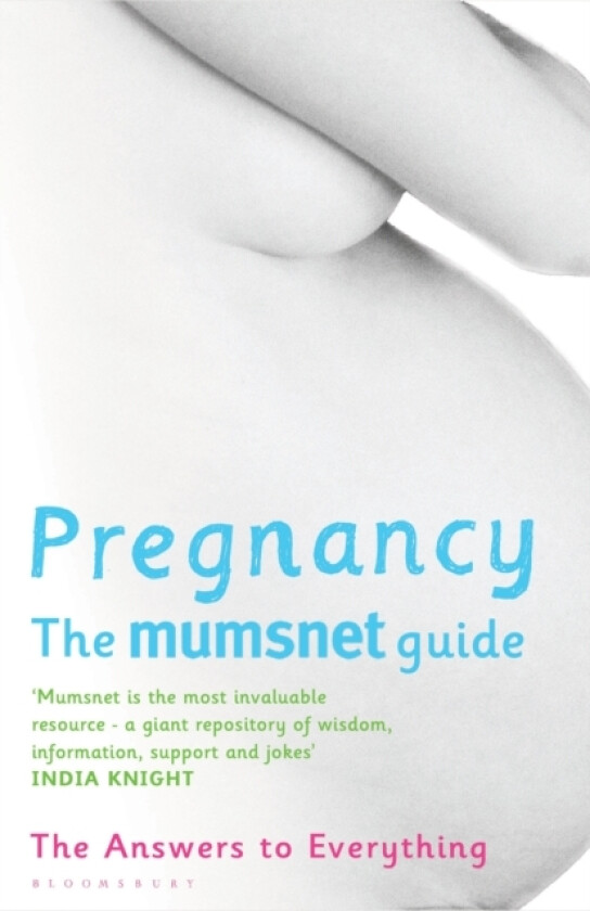 Pregnancy: The Mumsnet Guide av Mumsnet (Paperback)