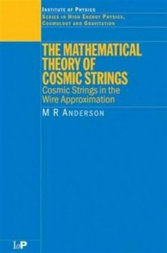 The Mathematical Theory of Cosmic Strings av M.R. Anderson (Hardcover)