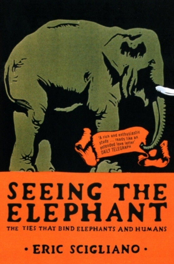 Seeing the Elephant av Eric Scigliano (Paperback)