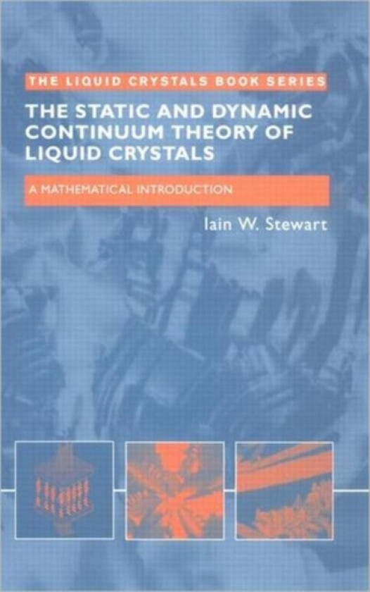 The Static and Dynamic Continuum Theory of Liquid Crystals av Iain W. Stewart (Paperback)
