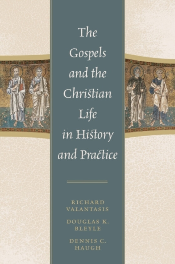 The Gospels and Christian Life in History and Practice av Richard Valantasis, Douglas K. Bleyle, Dennis C. Haugh (Paperback)