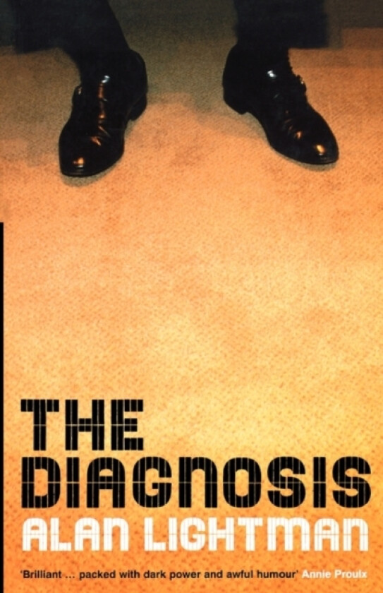 The Diagnosis av Alan P. Lightman (Paperback)