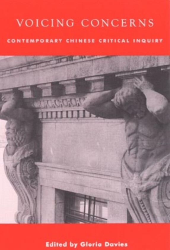 Voicing Concerns av Gloria Davies (Paperback)