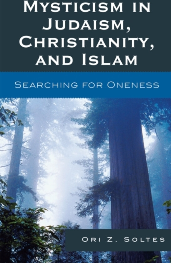 Mysticism in Judaism, Christianity, and Islam av Ori Z. Soltes (Paperback)