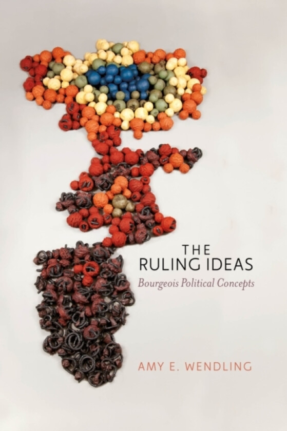 The Ruling Ideas av Amy E. Wendling (Paperback)