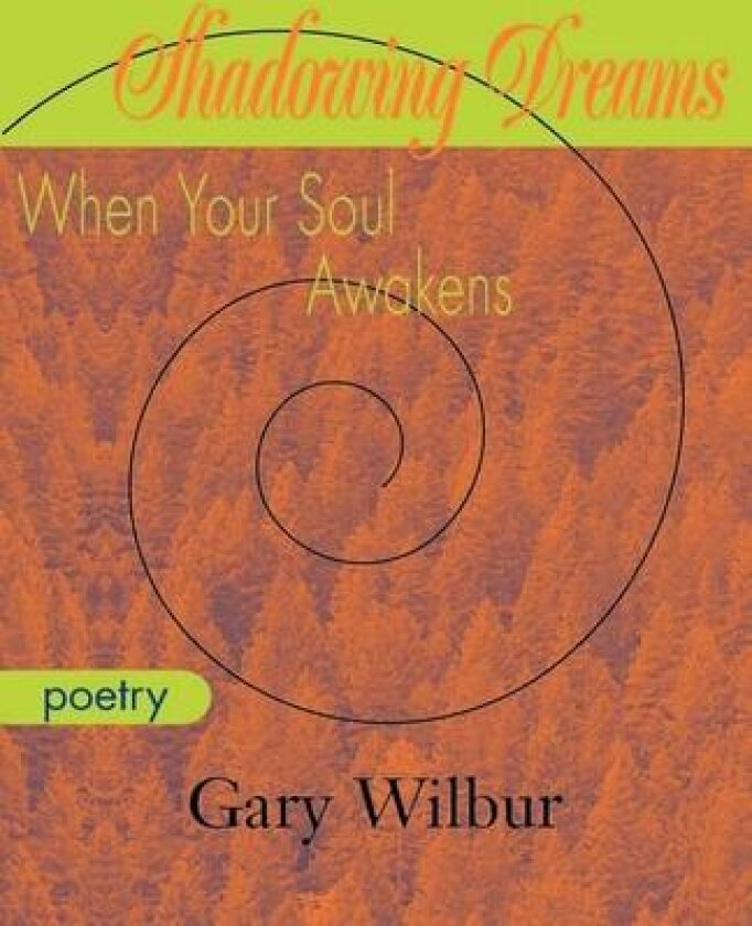 Shadowing Dreams av Gary Wilbur (Paperback)