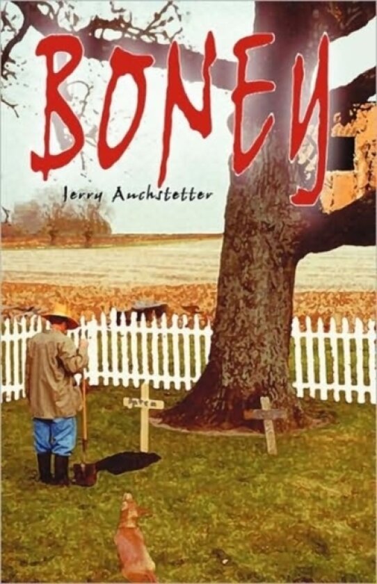 Boney av Jerry Auchstetter (Paperback)