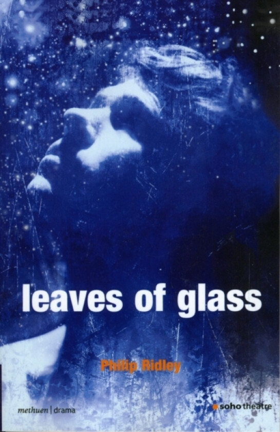 Leaves of Glass av Philip Ridley (Paperback)