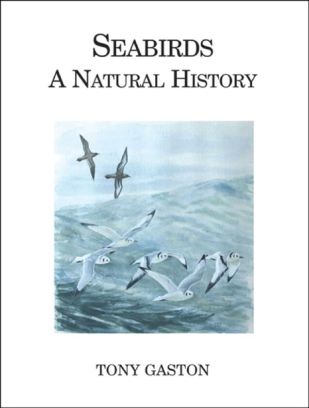 Seabirds av Anthony J. Gaston (Hardcover)