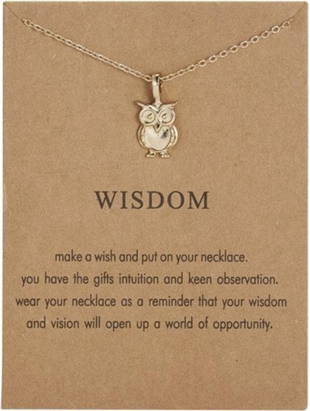 Wisdom -necklace with owl 18K gold plated gift student degree