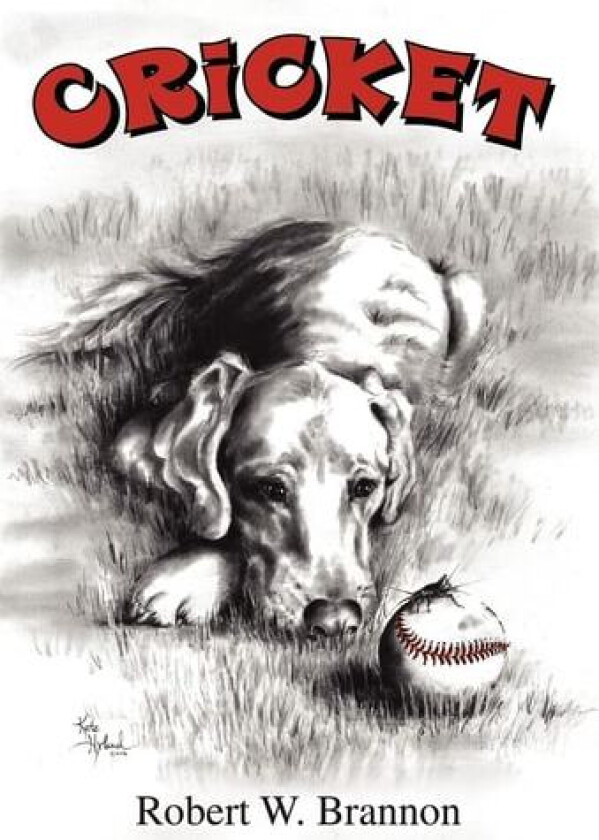 Cricket av Robert W Brannon (Hardcover)