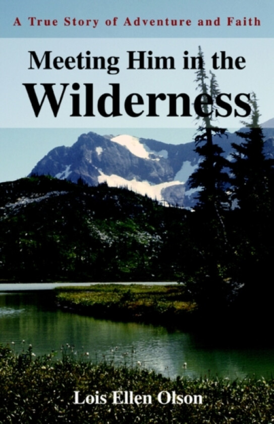 Meeting Him in the Wilderness av Lois E Olson (Paperback)
