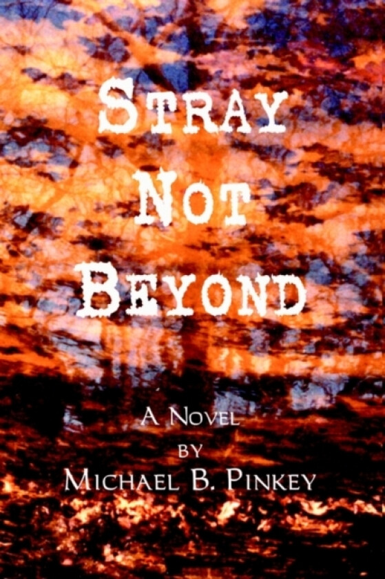 Stray Not Beyond av Michael B Pinkey (Hardcover)