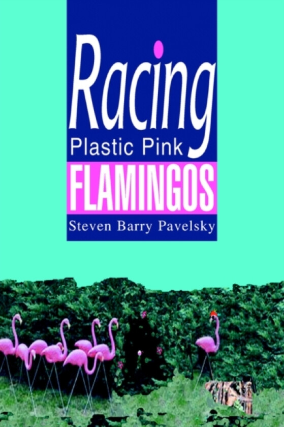Racing Plastic Pink Flamingos av Steven Barry Pavelsky (Hardcover)