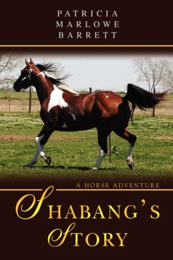 Shabang's Story av Patricia Marlowe Barrett (Paperback)