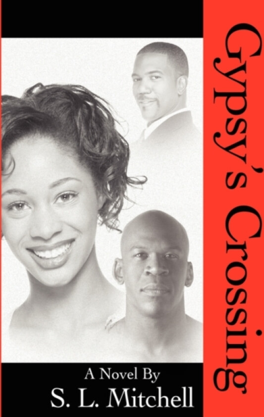 Gypsy's Crossing av S L Mitchell (Hardcover)