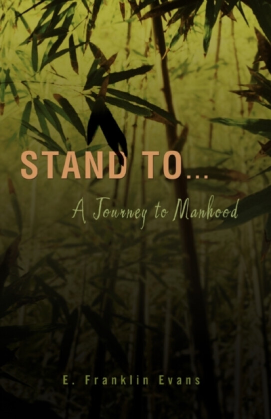 Stand to ... av E Franklin Evans (Paperback)