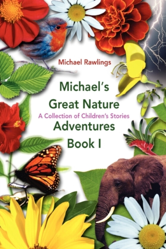 Michael's Great Nature Adventures Book I av Michael Rawlings (Paperback)