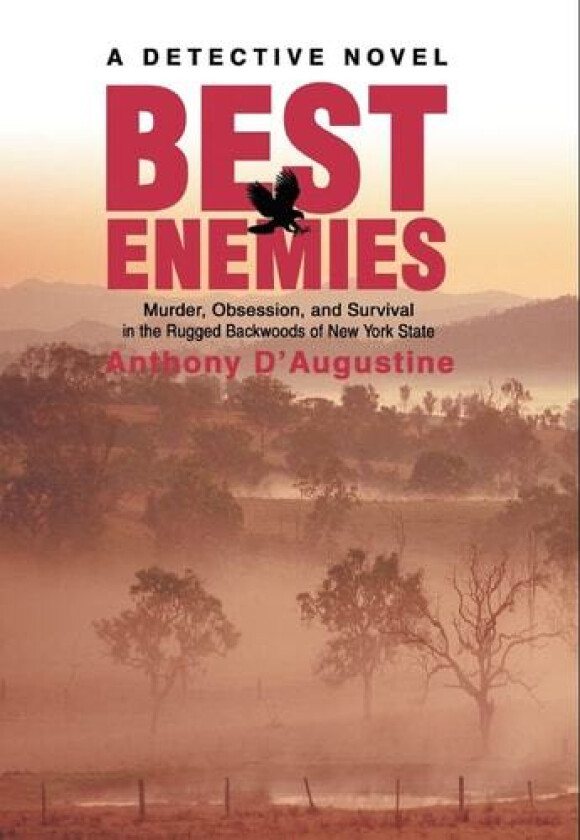 Best Enemies: Murder, Obsession, and Survival in the Rugged Backwoods of New York State av Anthony D'Augustine (Hardcover)
