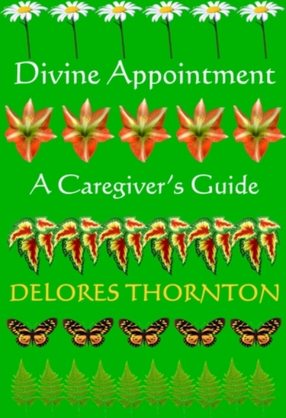 Divine Appointment av Delores Thornton (Paperback)