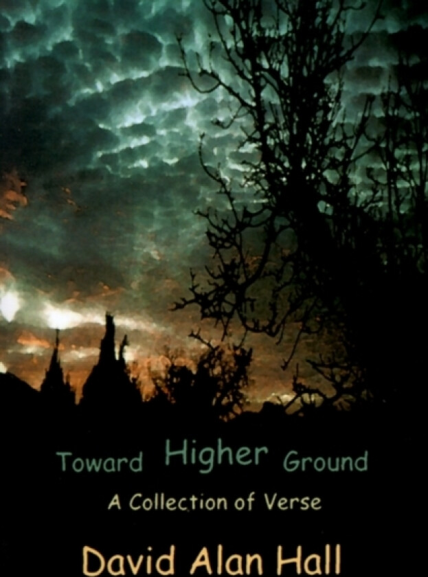 Toward Higher Ground av David a Hall (Paperback)