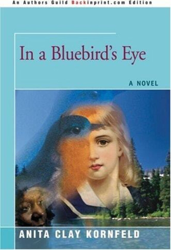 In a Bluebird's Eye av Anita C Kornfeld (Paperback)
