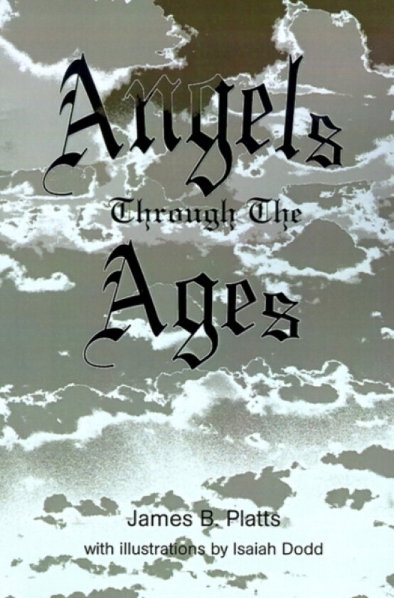 Angels Through the Ages av James Platts (Paperback)