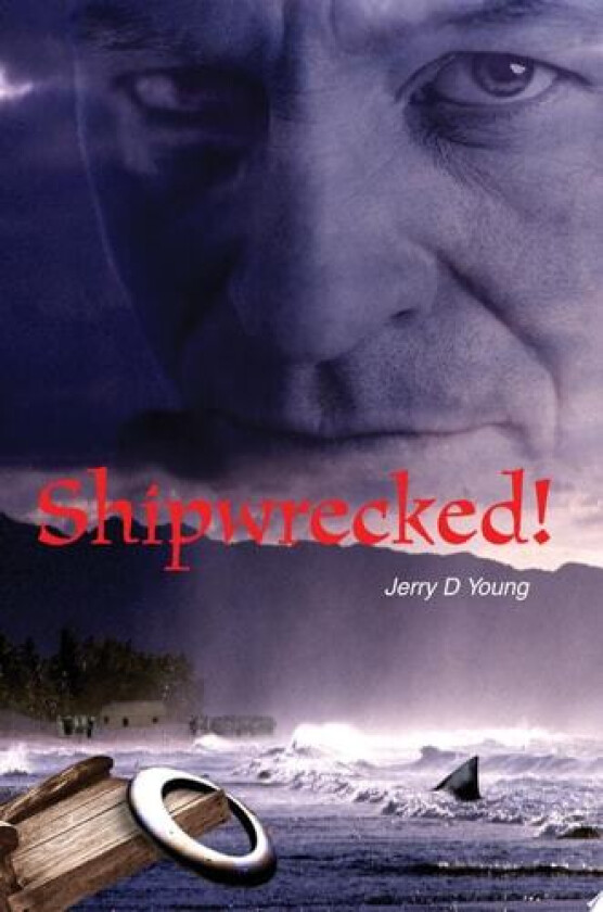 Shipwrecked! av Jerry D Young (Paperback)