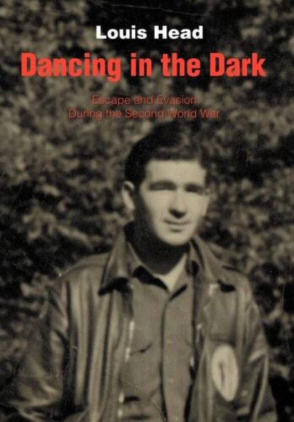 Dancing in the Dark av Louis Head (Hardcover)