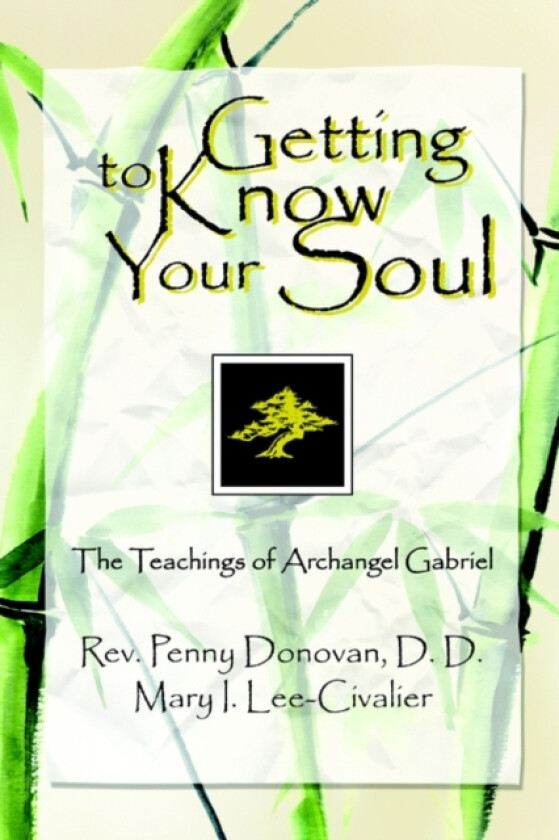 Getting To Know Your Soul av REV Penny Donovan DD (Paperback)