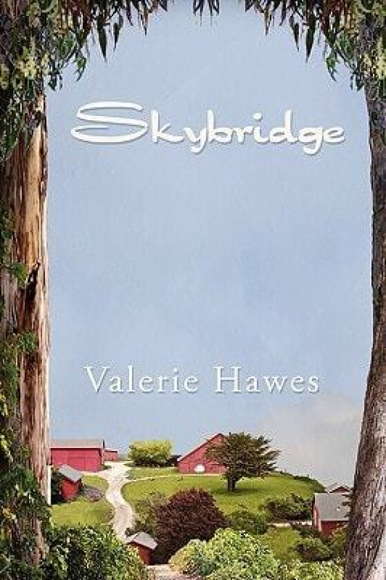 Skybridge av Valerie Hawes (Paperback)