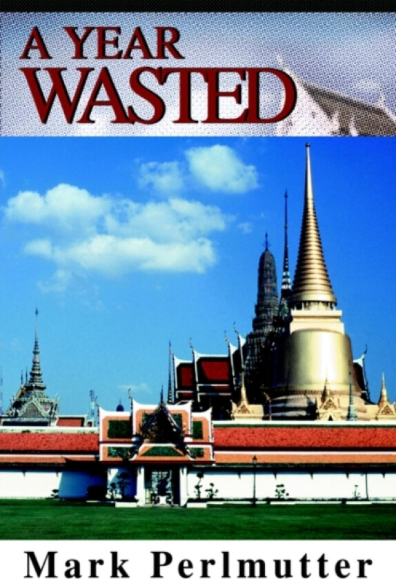A Year Wasted av Mark Perlmutter (Hardcover)