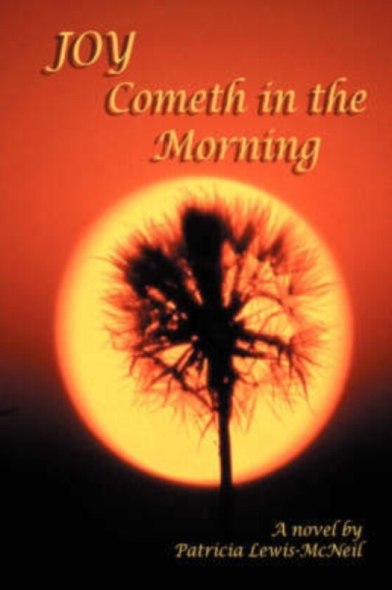 Joy Cometh in the Morning av Patricia A Lewis-McNeil (Paperback)