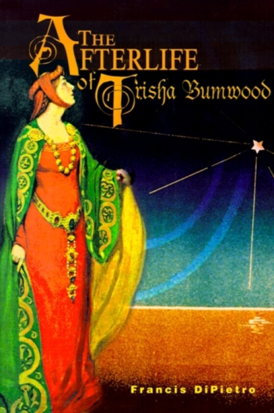 The Afterlife of Trisha Bumwood av Francis Dipietro (Paperback)