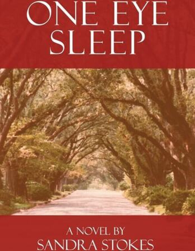 One Eye Sleep av SANDRA STOKES (Hardcover)