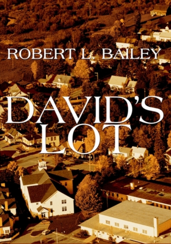 David's Lot av Robert L Bailey (Paperback)