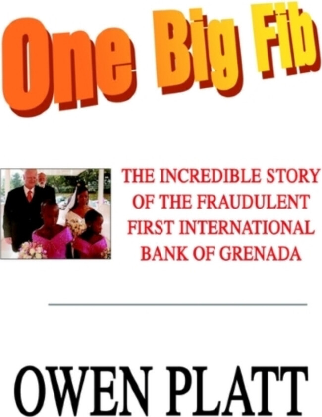 One Big Fib av Owen Platt (Hardcover)