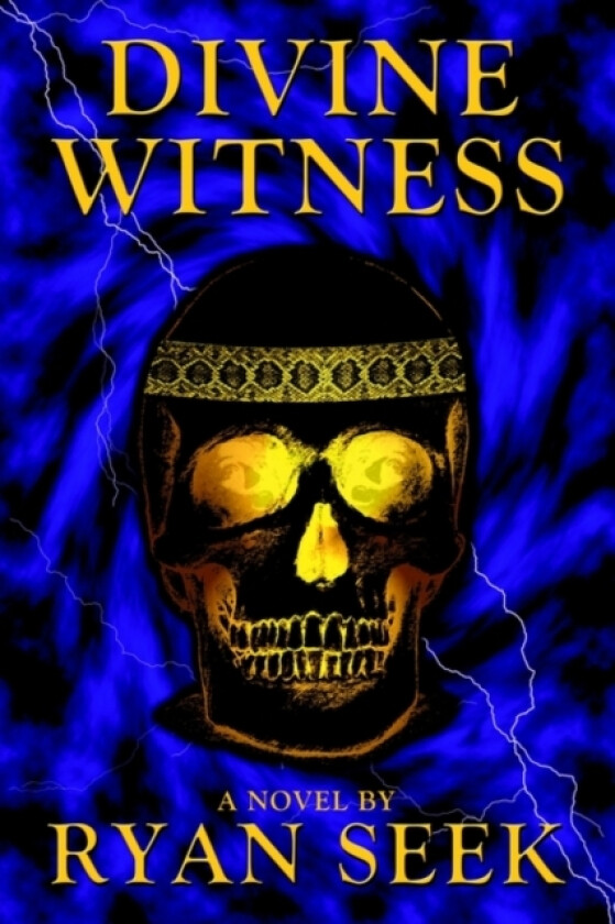 Divine Witness av Ryan Seek (Paperback)
