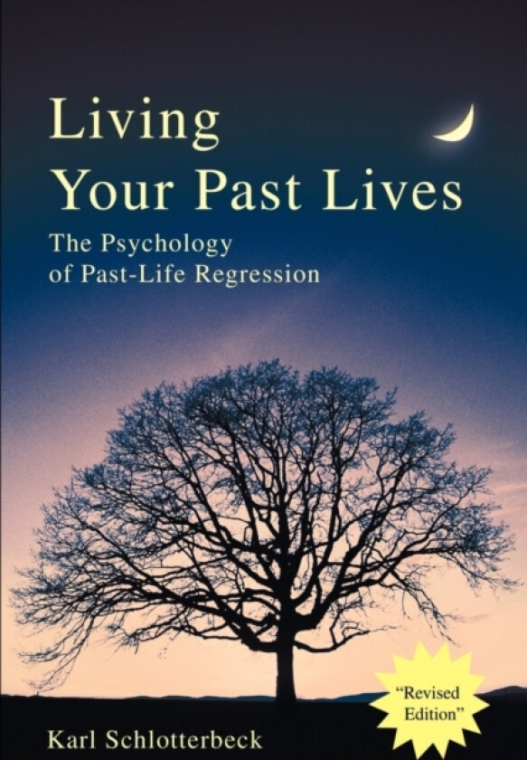 Living Your Past Lives av Karl R Schlotterbeck (Paperback)