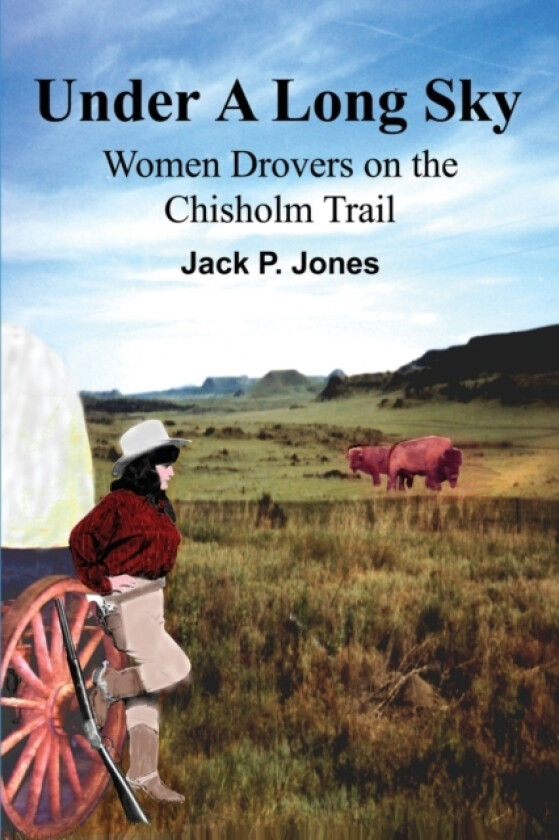 Under A Long Sky av Jack Payne Jones (Paperback)