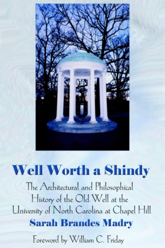 Well Worth a Shindy av Sarah Brandes Madry (Hardcover)