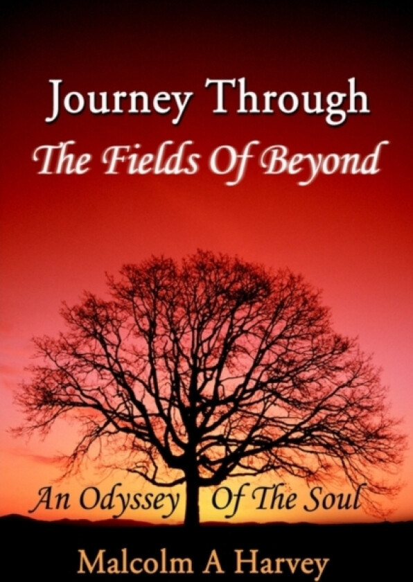 Journey Through The Fields Of Beyond av Malcolm A Harvey (Paperback)