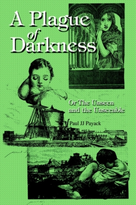 A Plague of Darkness av Paul Jj Payack (Hardcover)