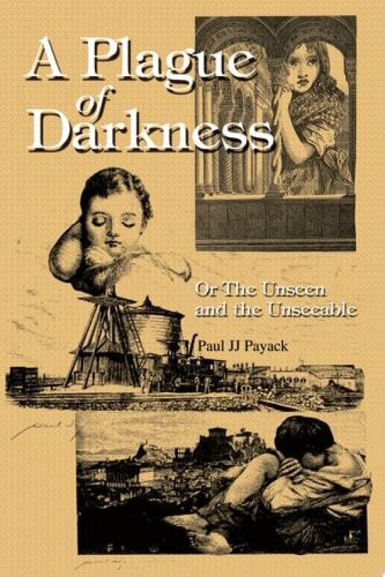 A Plague of Darkness av Paul Jj Payack (Paperback)