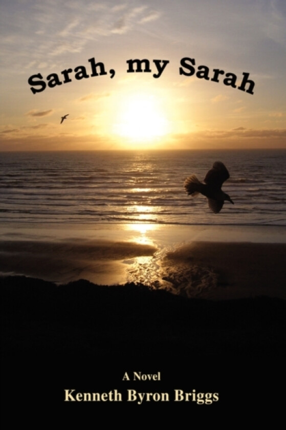 Sarah, My Sarah av Kenneth Briggs (Paperback)