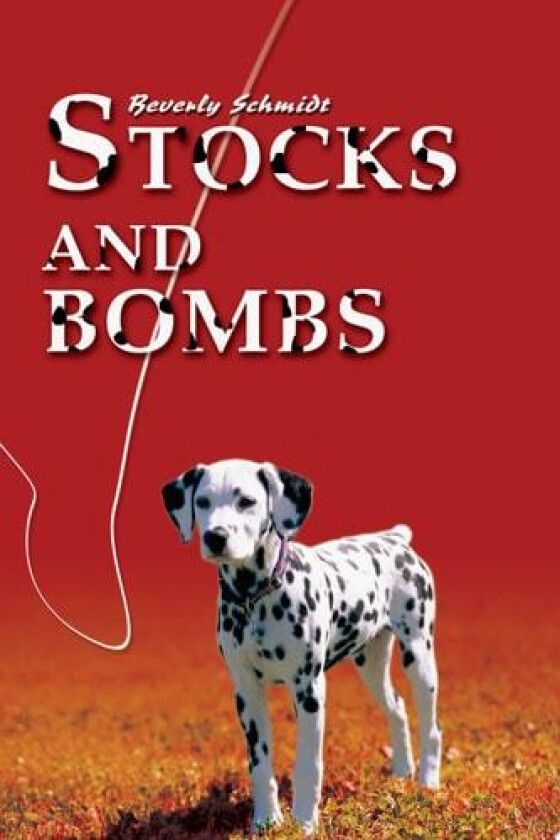 Stocks and Bombs av Beverly Schmidt-Rodriguez (Paperback)